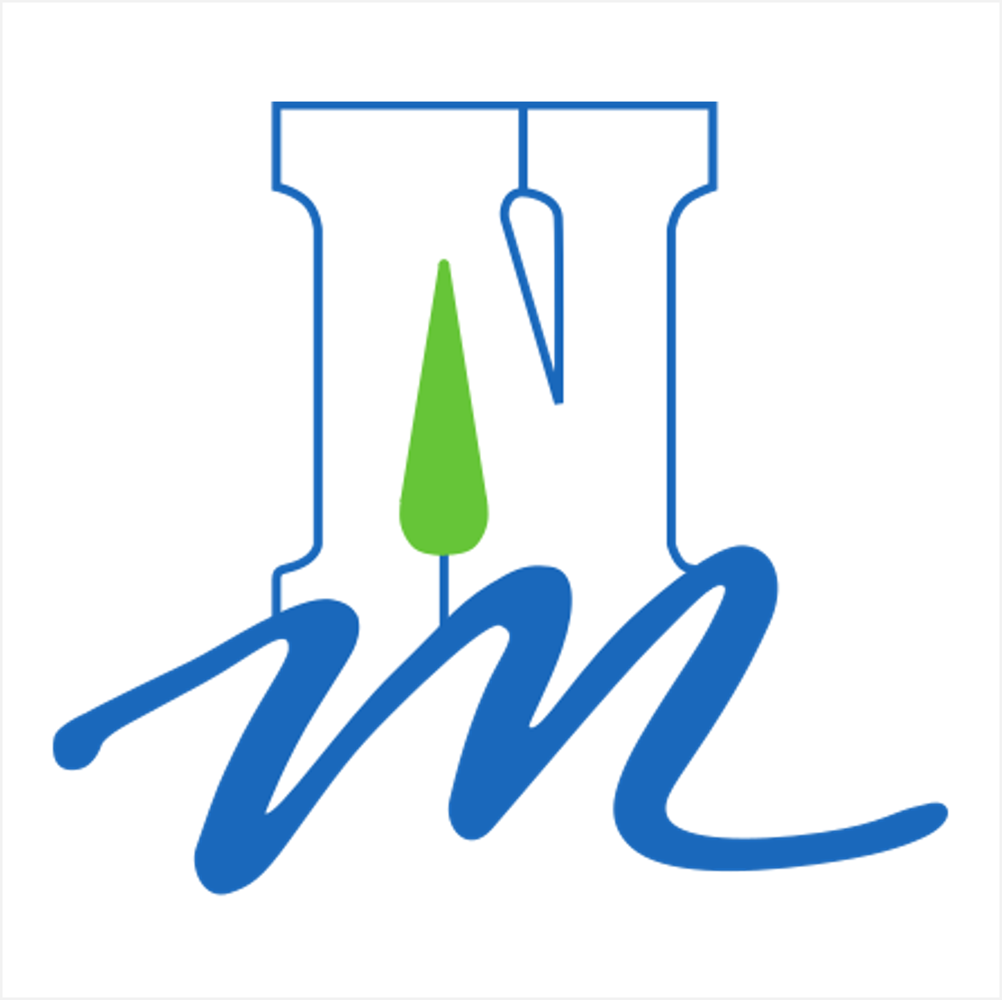 NsM